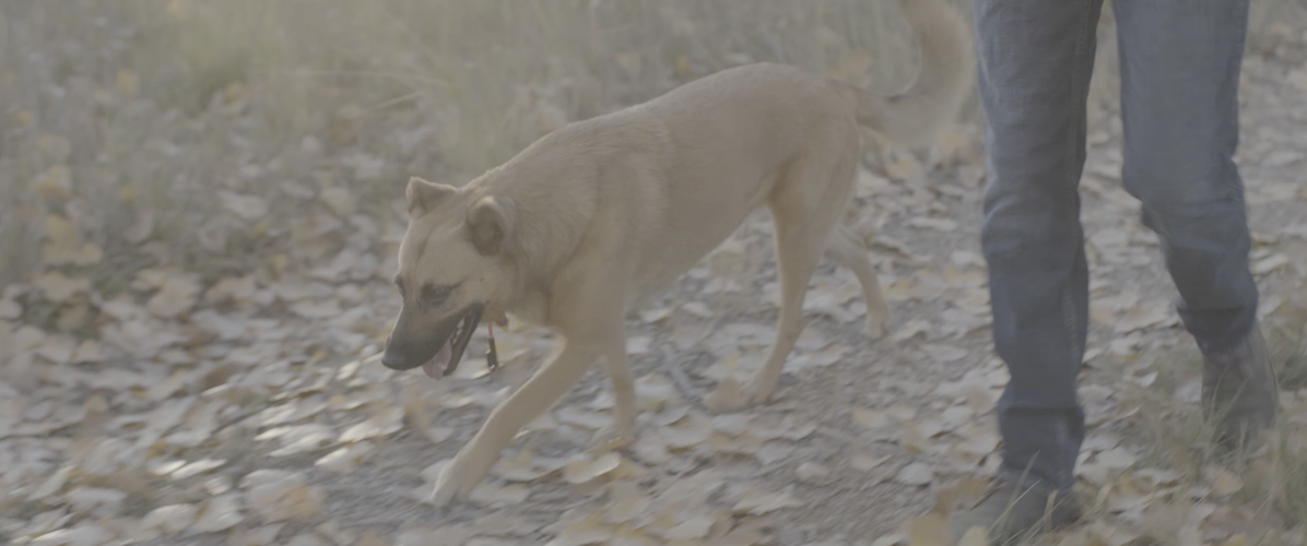 JiJi_American_Vampires_Characters_Image_By_AmericanVampiresFilm.com